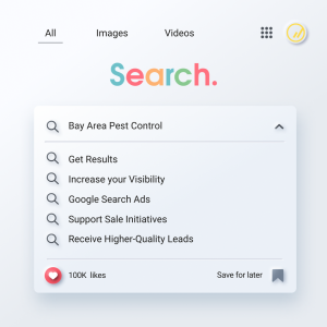 Search graphic with bay area pest control in the search query